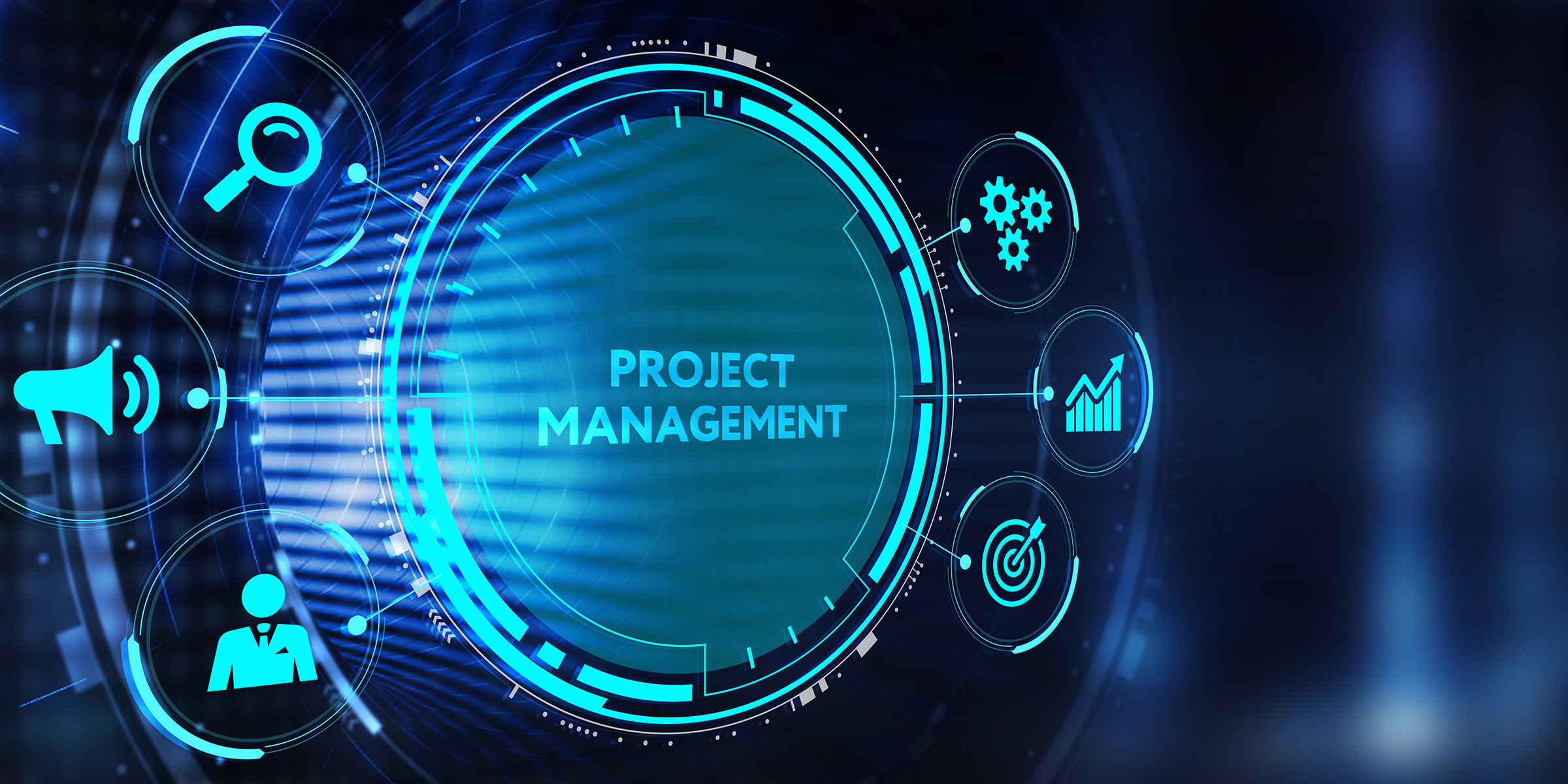 Project management