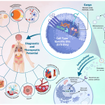 Exploring extracellular vesicles: types and effects on disease progression