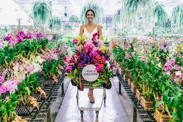 thailand orchids farm