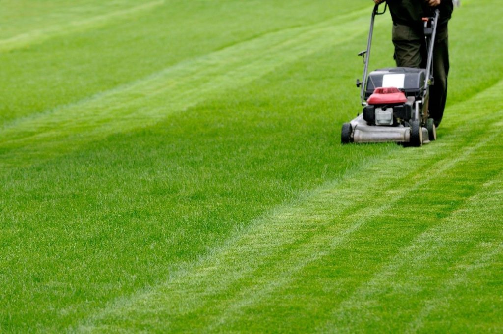 How Professional Lawn Mowers Improve Efficiency for Large-Scale Landscaping Projects