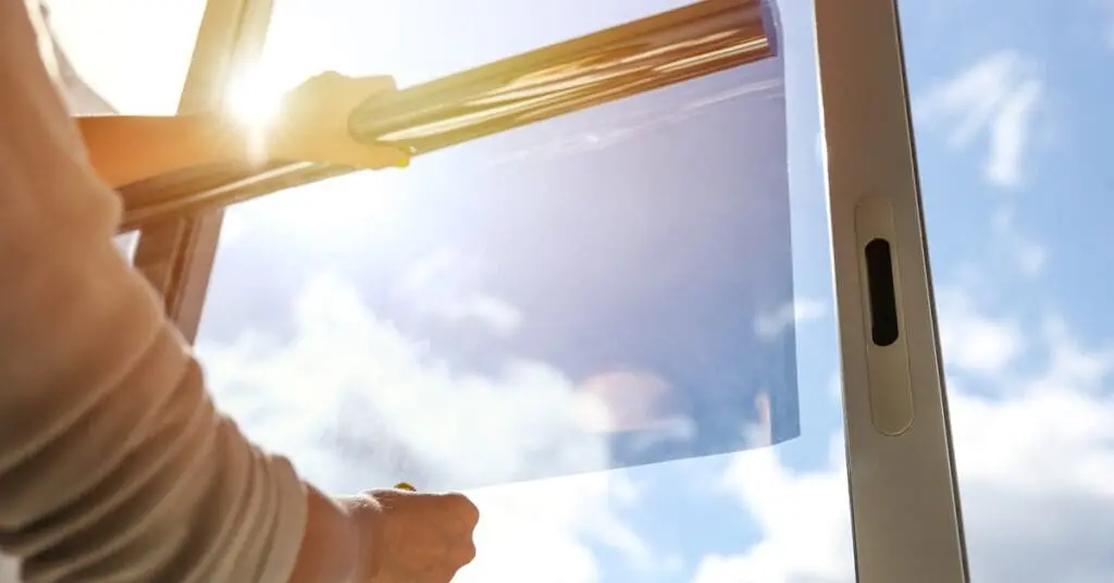 Tinting Services Solutions